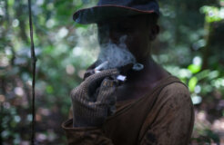 15702215264_98ccaa369d_b