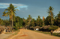 3662195998_21f5cce0d8_k