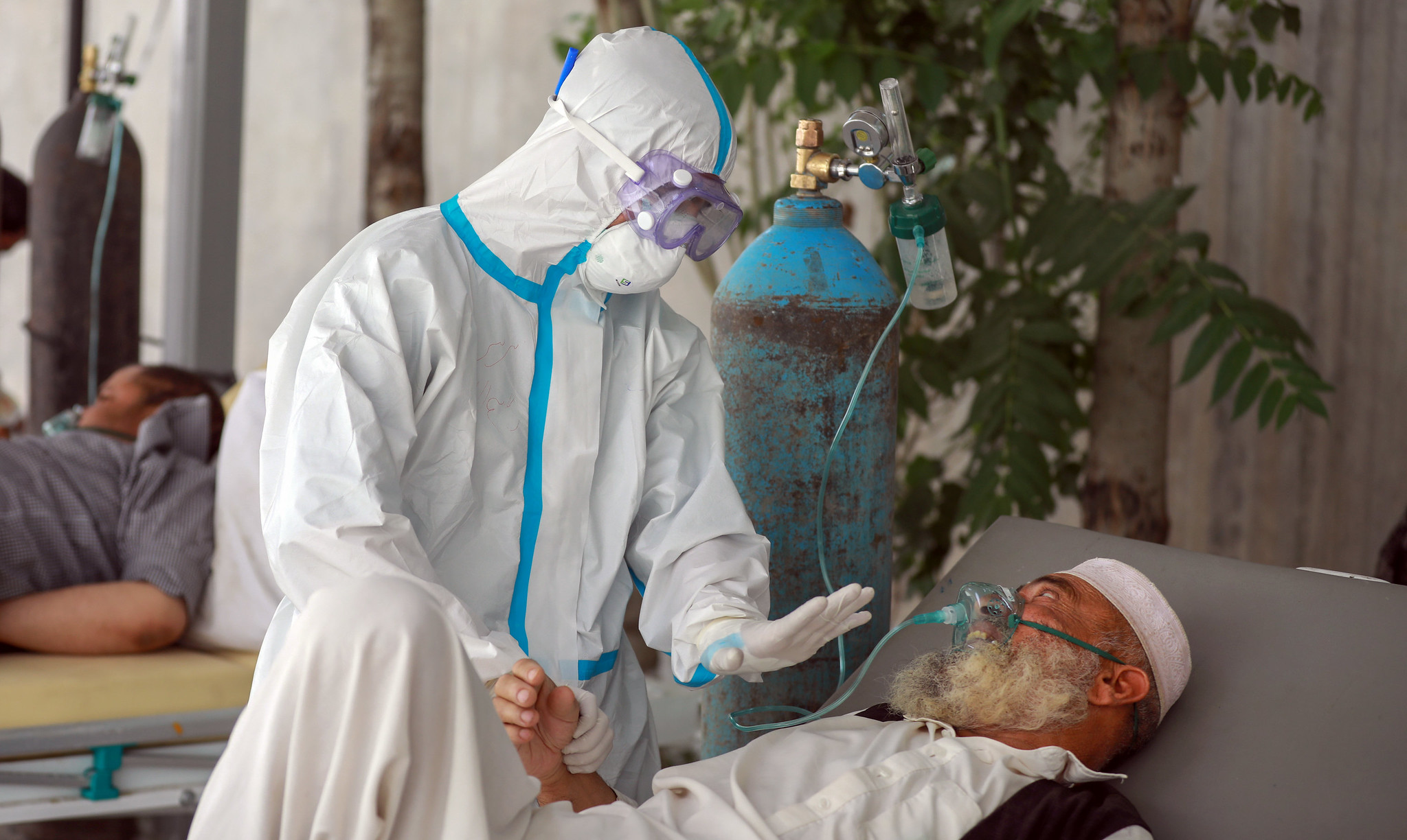 50208438373_20109e956f_k