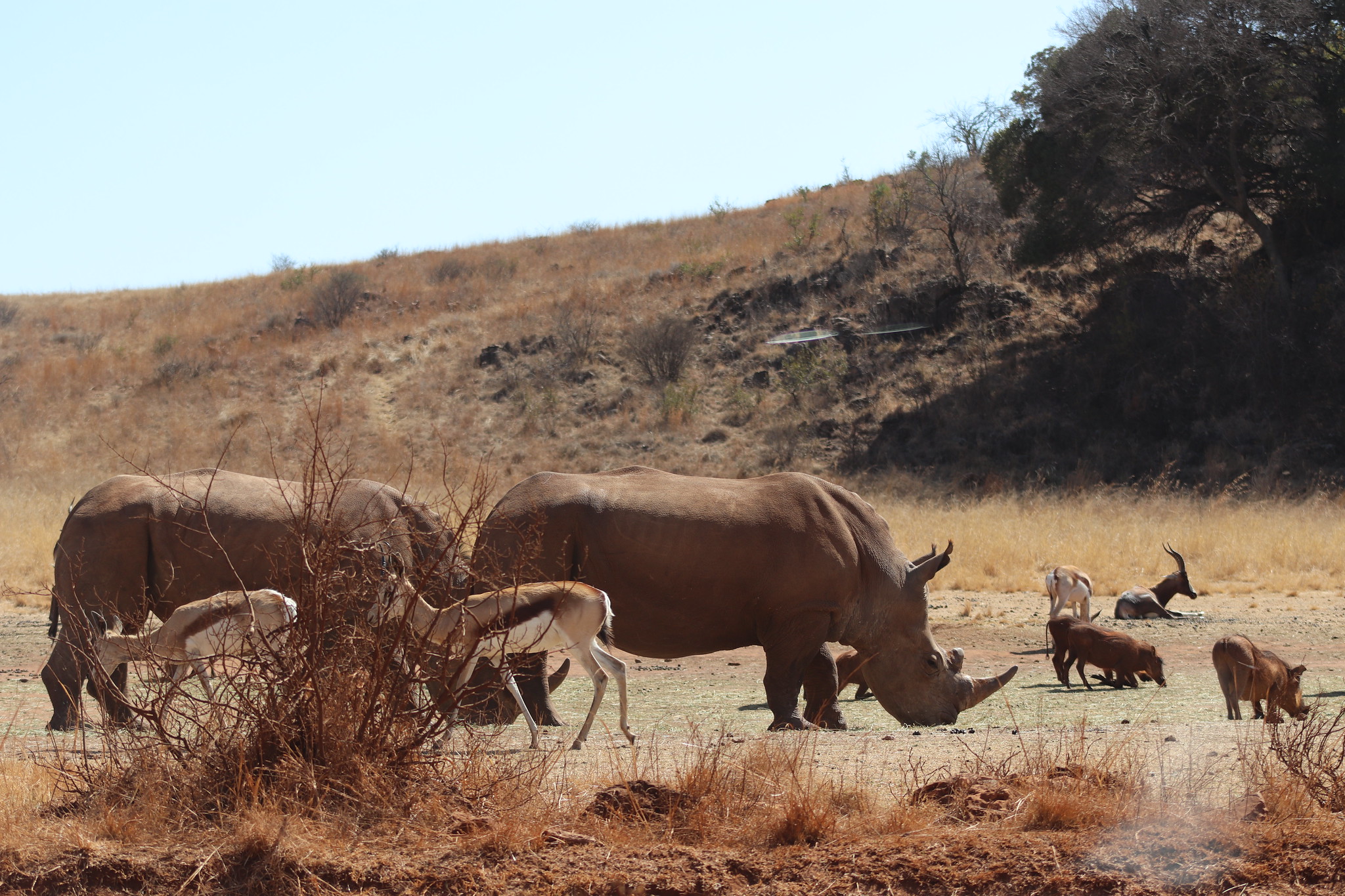 Celebrating female conservationists | FairPlanet