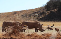 50955323576_21bf1e4071_k 50955323576_21bf1e4071_k