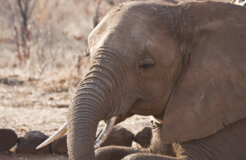 6123253431_f00f31473b_k 6123253431_f00f31473b_k