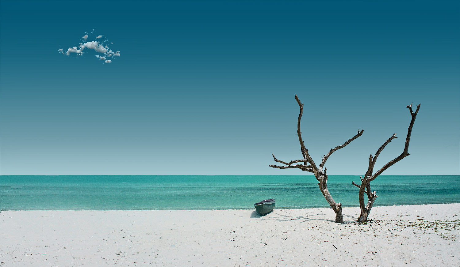 8680228495_7227105db7_h