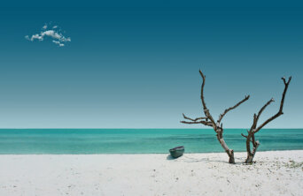 8680228495_7227105db7_h 8680228495_7227105db7_h