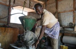 ismail-salad-hajji-dirir-_UjcDuTFGc8-unsplash ismail-salad-hajji-dirir-_UjcDuTFGc8-unsplash