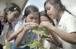 Eco-Activities (Seed to table - gardening) 1