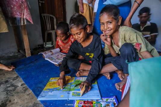 Green Incentives (environmental books) 3