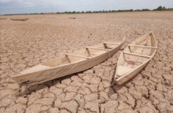 yoda-adaman-8wuOLdN77A4-unsplash