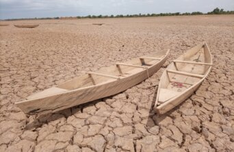 yoda-adaman-8wuOLdN77A4-unsplash yoda-adaman-8wuOLdN77A4-unsplash