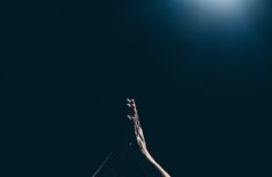 Image by Amaury Gutierrez Image by Amaury Gutierrez