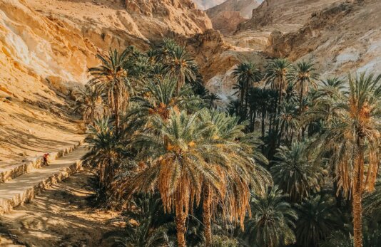 attila-janosi-xlO4V1RRFIY-unsplash