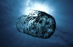 nariman-mesharrafa-7VSQt-obpso-unsplash