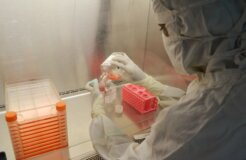 satheesh-sankaran-SCnv4bQfXxw-unsplash satheesh-sankaran-SCnv4bQfXxw-unsplash