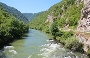 uta-scholl-xRIRq5FeqL8-unsplash