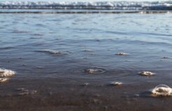 charlotte-faith-lHfVFnYCcGw-unsplash