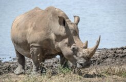 david-clode-nGrcKcgiXfo-unsplash david-clode-nGrcKcgiXfo-unsplash