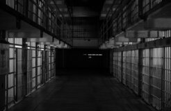 emiliano-bar-OeAWU9VSHzo-unsplash emiliano-bar-OeAWU9VSHzo-unsplash