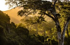 redcharlie-k2zWqv_yfNM-unsplash redcharlie-k2zWqv_yfNM-unsplash