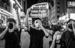 50256040102_9aa0b9e590_b