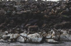 daniel-bradley-mrjBhHnzKRM-unsplash daniel-bradley-mrjBhHnzKRM-unsplash