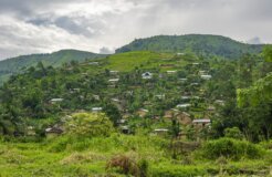 maibano-geabdaa27b_1920 maibano-geabdaa27b_1920