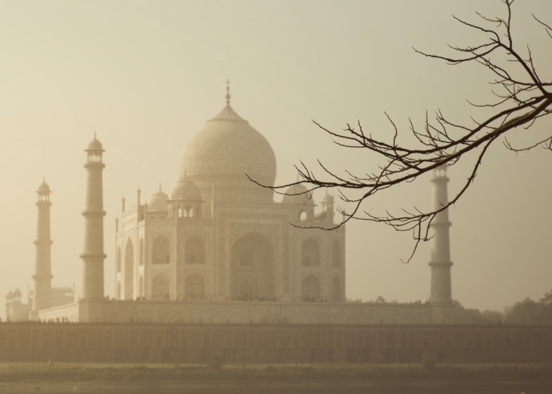 mohd-aram-6dsy_LEmoYE-unsplash