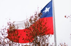 nathana-reboucas-PI-mFu8pDMQ-unsplash