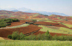 36882323944_d5e2284674_k 36882323944_d5e2284674_k