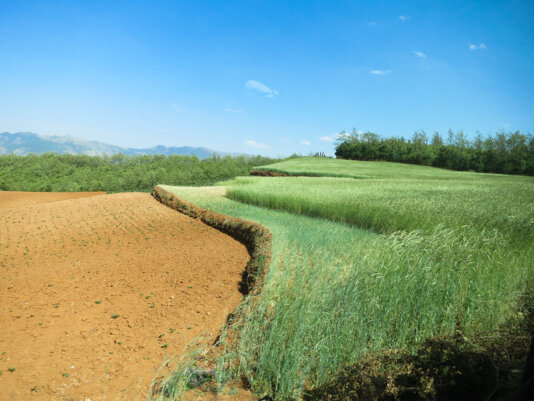 36922841053_462fa2f350_c