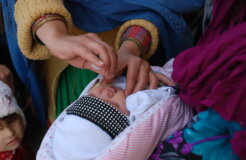 9723469374_7f352c69af_k