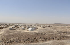 26275816562_5d8cabf4d0_k