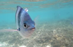 michael-groncki-3z1CV5wOKGE-unsplash