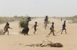 1280px-Oxfam_East_Africa_-_A_family_gathers_sticks_and_branches_for_firewood 1280px-Oxfam_East_Africa_-_A_family_gathers_sticks_and_branches_for_firewood