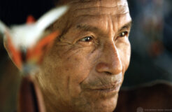 2367326208_c2e8875de0_o