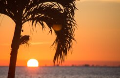 florida-guidebook-com-xHe0i1Kqtog-unsplash florida-guidebook-com-xHe0i1Kqtog-unsplash