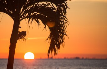 florida-guidebook-com-xHe0i1Kqtog-unsplash florida-guidebook-com-xHe0i1Kqtog-unsplash