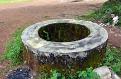 10721368065_19f5cb7d09_b