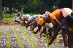 deepak-kumar-b4eRRodrirQ-unsplash deepak-kumar-b4eRRodrirQ-unsplash