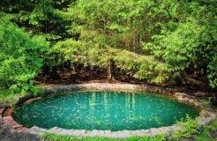 johnny-briggs-7CdNNvijw9E-unsplash