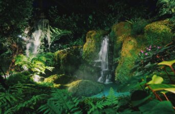 mandy-choi-_qZ0us4az20-unsplash mandy-choi-_qZ0us4az20-unsplash