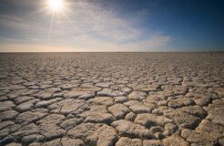 oleksandr-sushko-dDy07Wmz0_U-unsplash oleksandr-sushko-dDy07Wmz0_U-unsplash