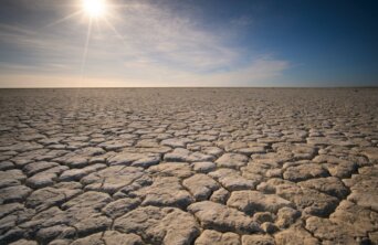 oleksandr-sushko-dDy07Wmz0_U-unsplash oleksandr-sushko-dDy07Wmz0_U-unsplash