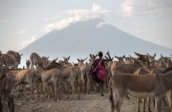 33426092195_de0bd514fb_c 33426092195_de0bd514fb_c