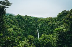 94999E26-FD07-43A0-B2E9-E1CF1416B44D