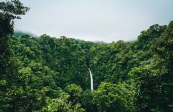 94999E26-FD07-43A0-B2E9-E1CF1416B44D