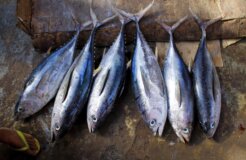 image-from-rawpixel-id-3372698-jpeg