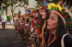 IMG_20220420_113547_445 IMG_20220420_113547_445