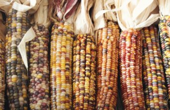 jen-theodore-4ZUo1sS8FyA-unsplash jen-theodore-4ZUo1sS8FyA-unsplash