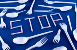 volodymyr-hryshchenko-LHE9c_va1f8-unsplash