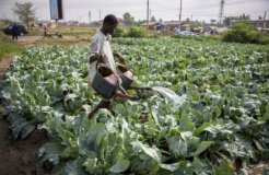 11925437155_d2b5bd4b37_c